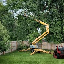 Best Tree Risk Assessment  in Daleville, VA