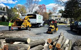 Best Firewood Processing and Delivery  in Daleville, VA